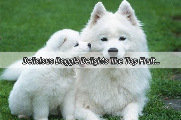 Delicious Doggie Delights The Top Fruits Your Pup Can Enjoy